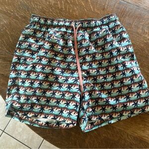 Lands End Swim Trunks
